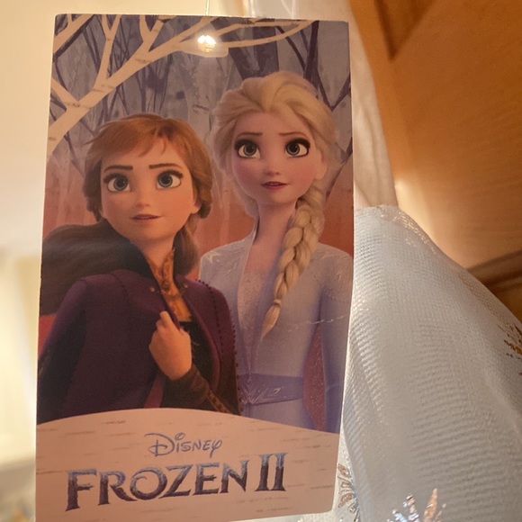 Disney Frozen II Elsa Wake Your Spirit Horse Princess Glitter Snowflake Dress 2T - Picture 4 of 8